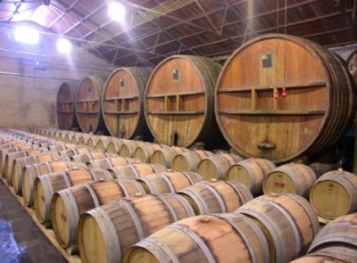 Tenemos a una cantidad de barriles de madera unos acostados en el piso y notros de pie entra una luz por las claraboyas del sitio