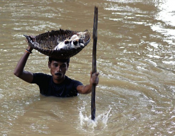 21 Pictures to Restore Your Faith in Humanity - 10