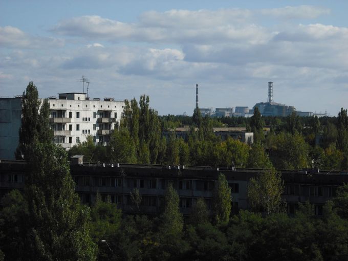 Vemos parte del mismo edificio que sobresale la torre y mucha vegetacion
