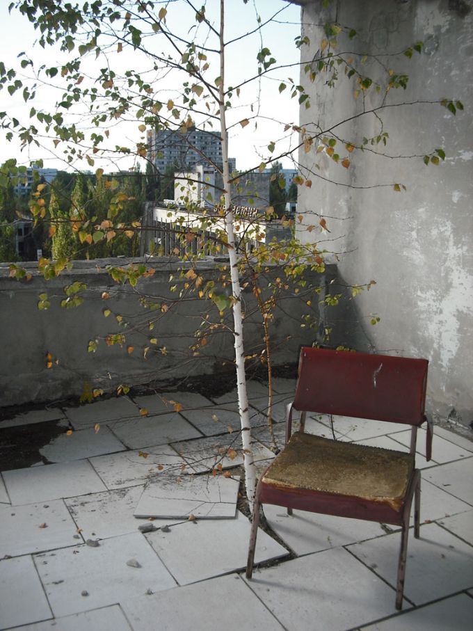 Vemos como la ruina de una piscina o una fuente vemos también hojas amarillentas de arboles