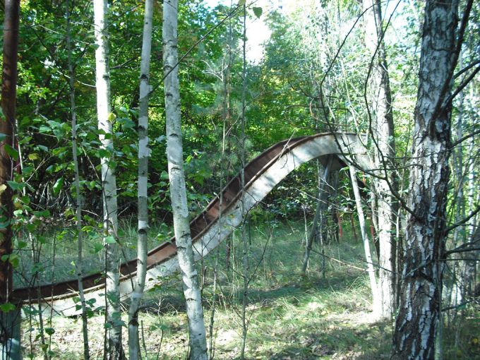 Tenemos un viejo arco y ntambien buena cantidad de vegetacion