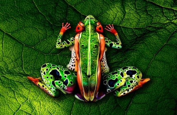 Vemos un cuerpo totalmente tatuado en color verde  y  con una enorme rana dibujada en el c uerpo 