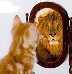 Vemos un gato que se mira en un espejo y se ve como un león  muy grande  y bravo